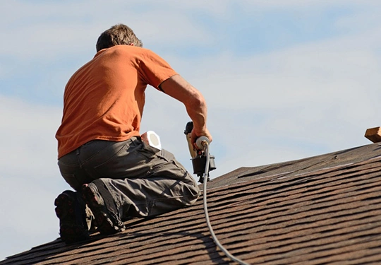 Professional Shingle Damage Repair